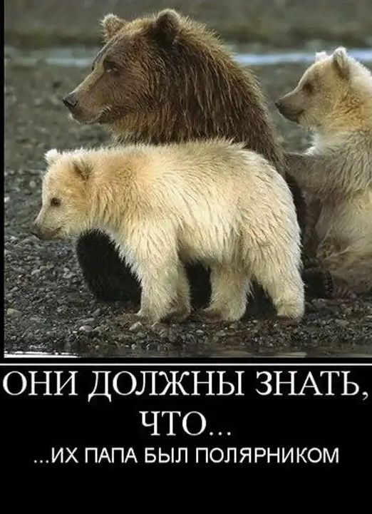 они Должны ёЁАТЬ что ИХ ПАПА БЫЛ ПОЛЯРНИКОМ