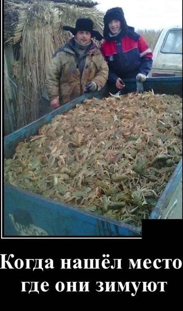 огда нашёл место где они зимуют