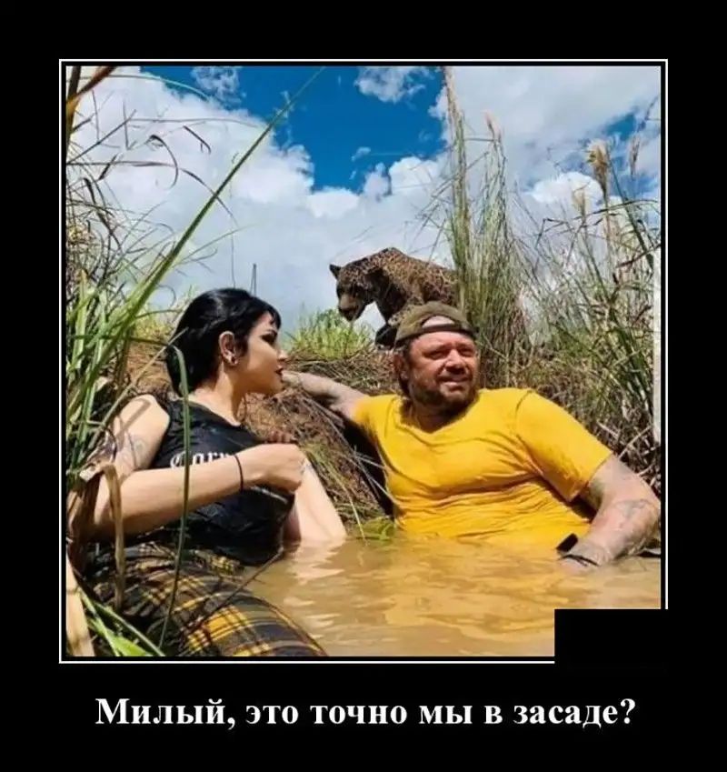 Милый это точно мы в засаде