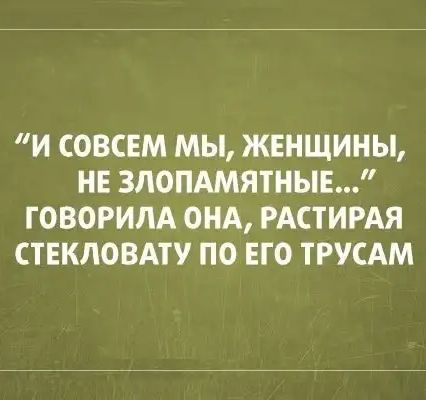И СОВСЕМ МЫ ЖЕНЩИНЫ НЕ ЗЛОПАМЯТНЫЕ ГОВОРИЛА ОНА РАСТИРАЯ СТЕКЛОВАТУ ПО ЕГО ТРУСАМ