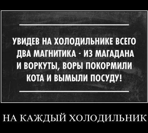 УВИдЕВ НА ХОЛОДИЛЬНИКЕ ВСЕГО дВА МАГНИТИКА ИЗ МАГАДАНА И ВОРКУТЫ ВОРЫ ПОКОРМИЛИ КОТА И ВЫМЫЛИ ПОСУДУ НА КАЖДЫЙ ХОЛОДИЛЬНИК
