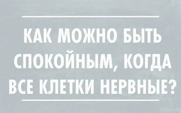 кдк можно выть спокойным КОГДА всн клвтки нврвнывг