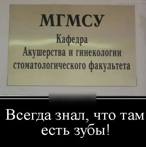 МГМСУ Кафедра Акушерства и гинекологии стоматологического факультета Всегда знал что там есть зубы