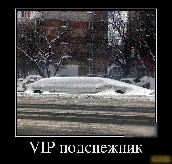 71Р подснежник