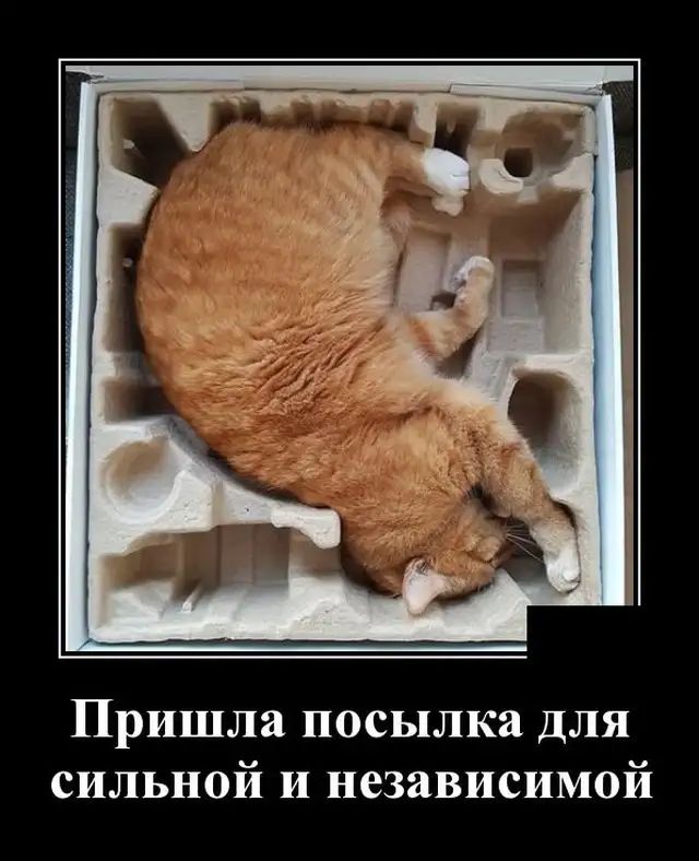 Пришла посылка для сильной и независимой