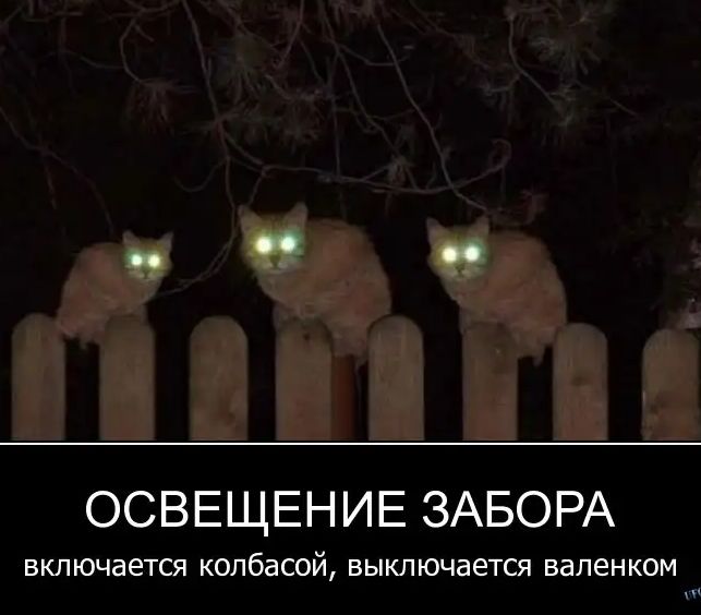ОСВЕЩЕНИЕ ЗАБОРА ВКЛЮЧЗЕТСЯ колбасой ВЫКЛЮЧЭЕТСЯ ВдЛЕНКОМ