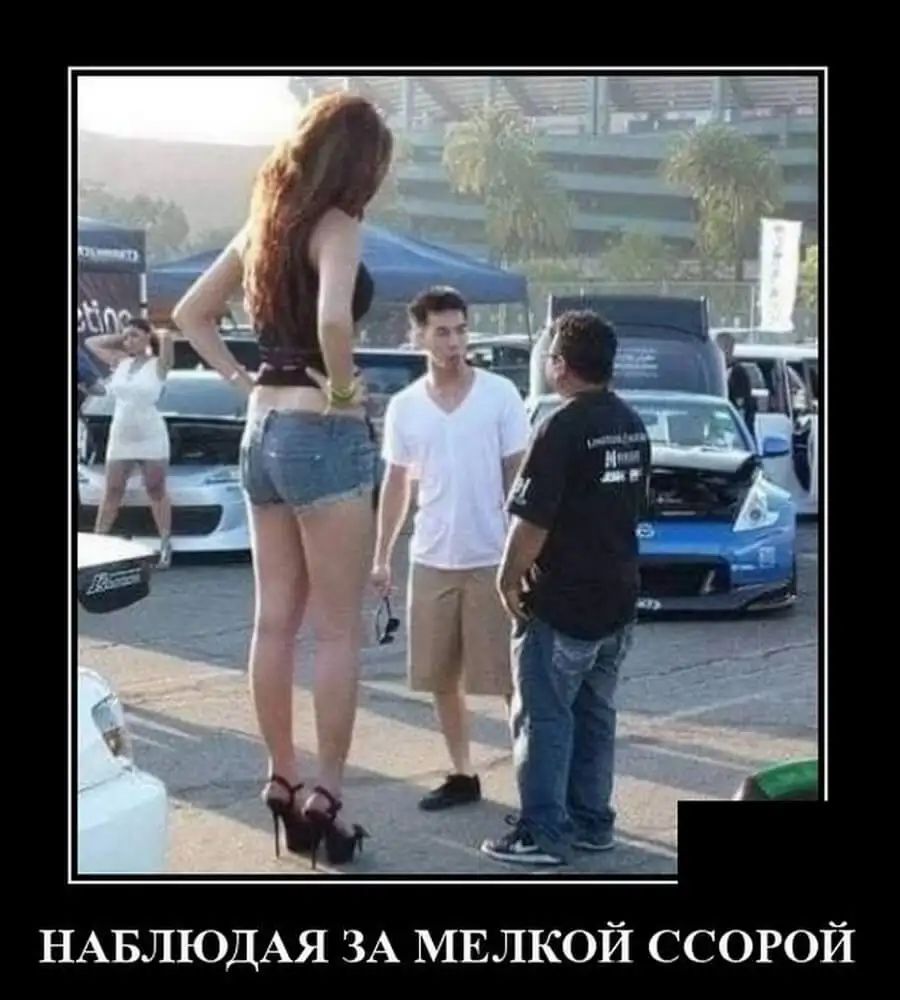 НАБЛЮДАЯ ЗА МЕЛКОЙ ССОРОЙ