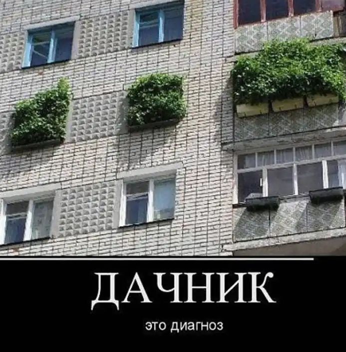 ДАЧНИК ЭТО дИЭ ГНОЗ