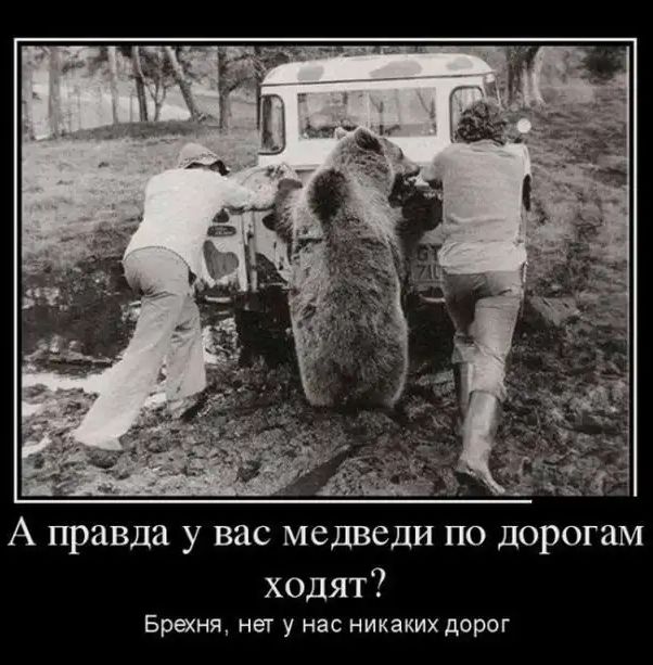 А правда у вас медведи по дорогам ходят Брехня нет у нас никаких дорог