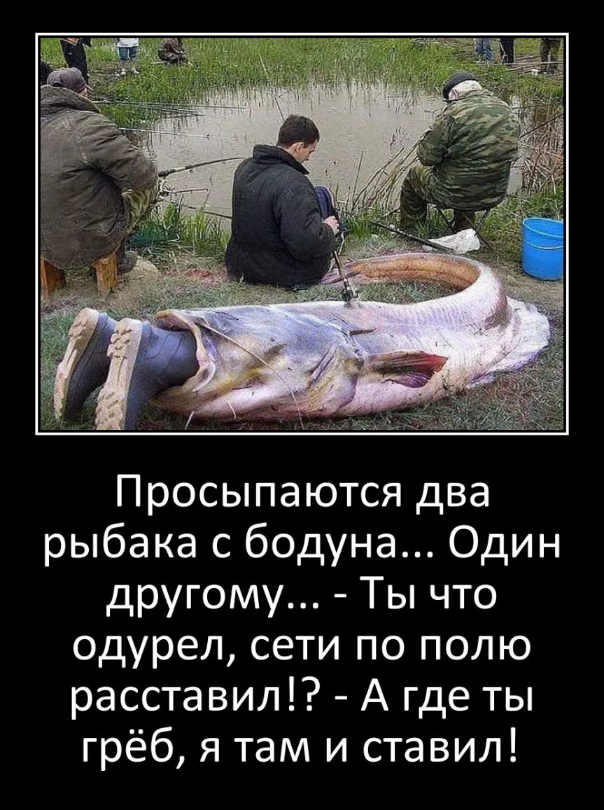 Просыпа ются два рыбака с бодуна Один другому Ты что одурел сети по полю расставил А где ты грёб я там и ставил
