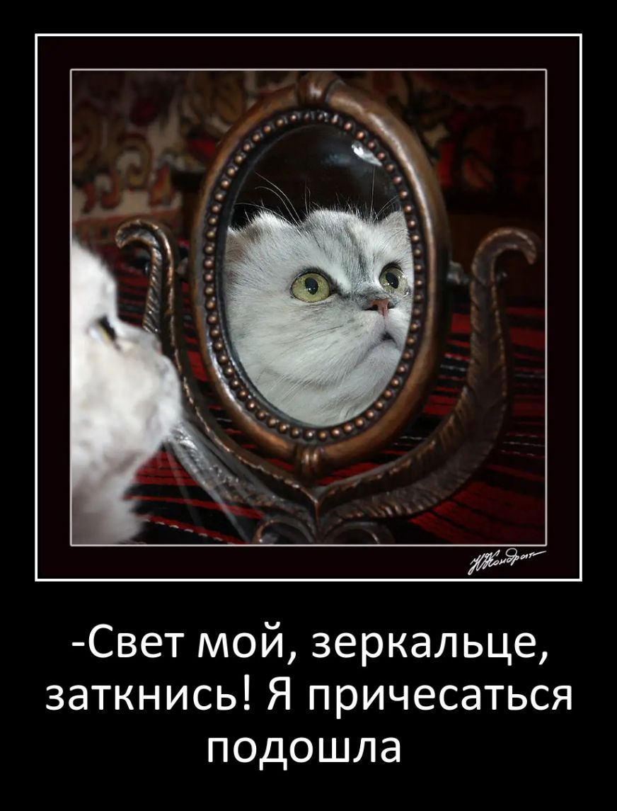 Свет мой зеркальце заткнись Я причесаться подошла