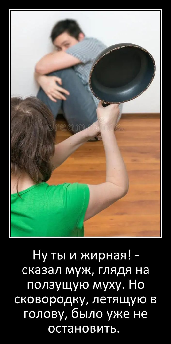 Ну ты и жирная сказал муж глядя на ползущую муху Но сковородку летящую в голову было уже не остановить