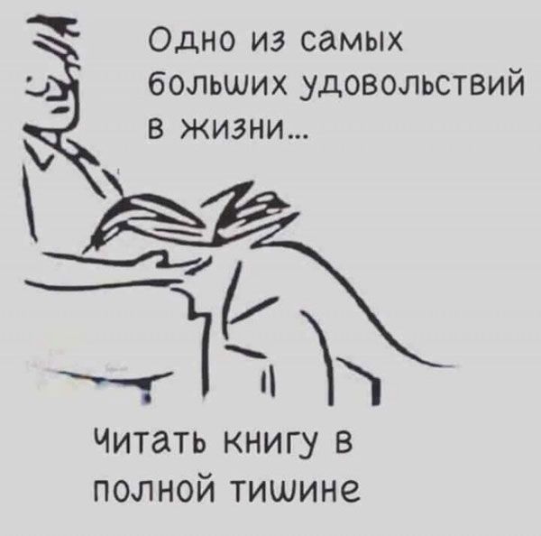 Одно из самых больших удовольствий В ЖИЗНИ Ч Ёп Читать книгу в полной тишине