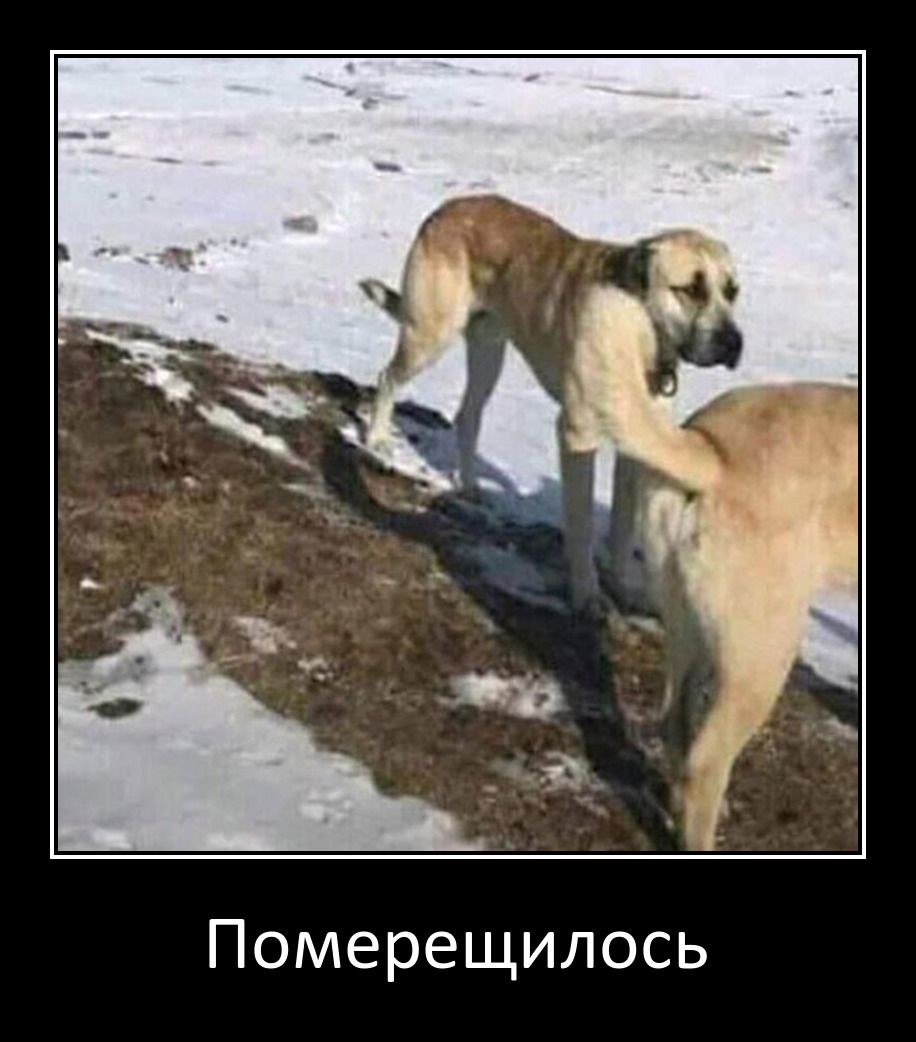 Померещилось