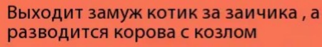 Выходит замуж котик за заичика а разводится корова с козлом