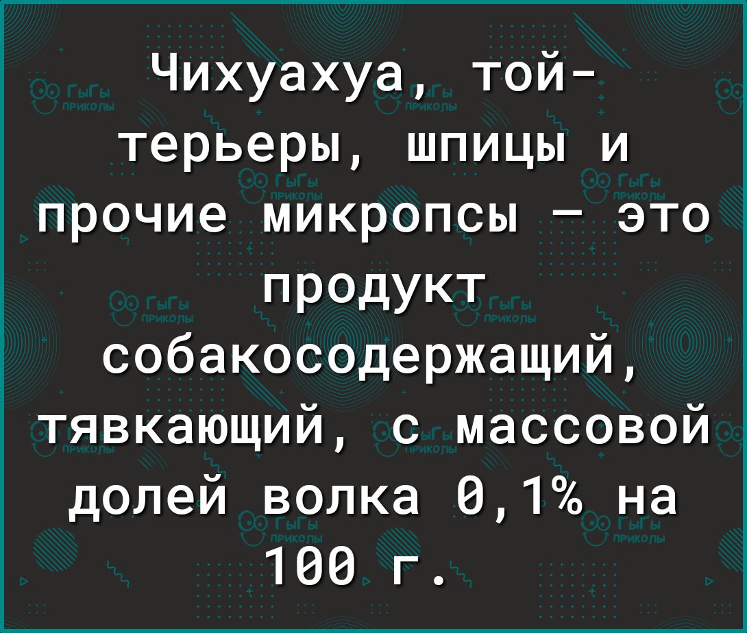 Чихуахуа той терьеры шпицы и прочие микропсы это продукт собакосодержащий тявкающий с массовой долей волка 61 на 106 г