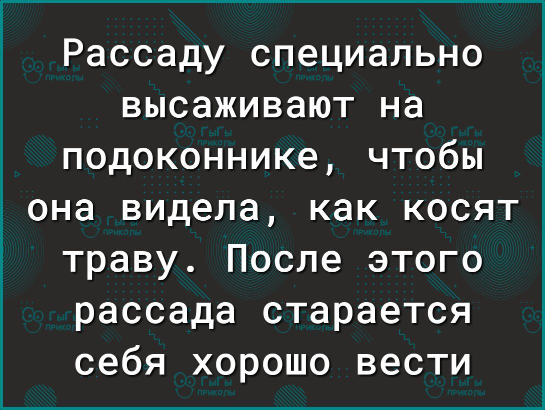 Рассаду специально высаживают на подоконнике чтобы она видела как косят траву После этого рассада старается себя хорошо вести