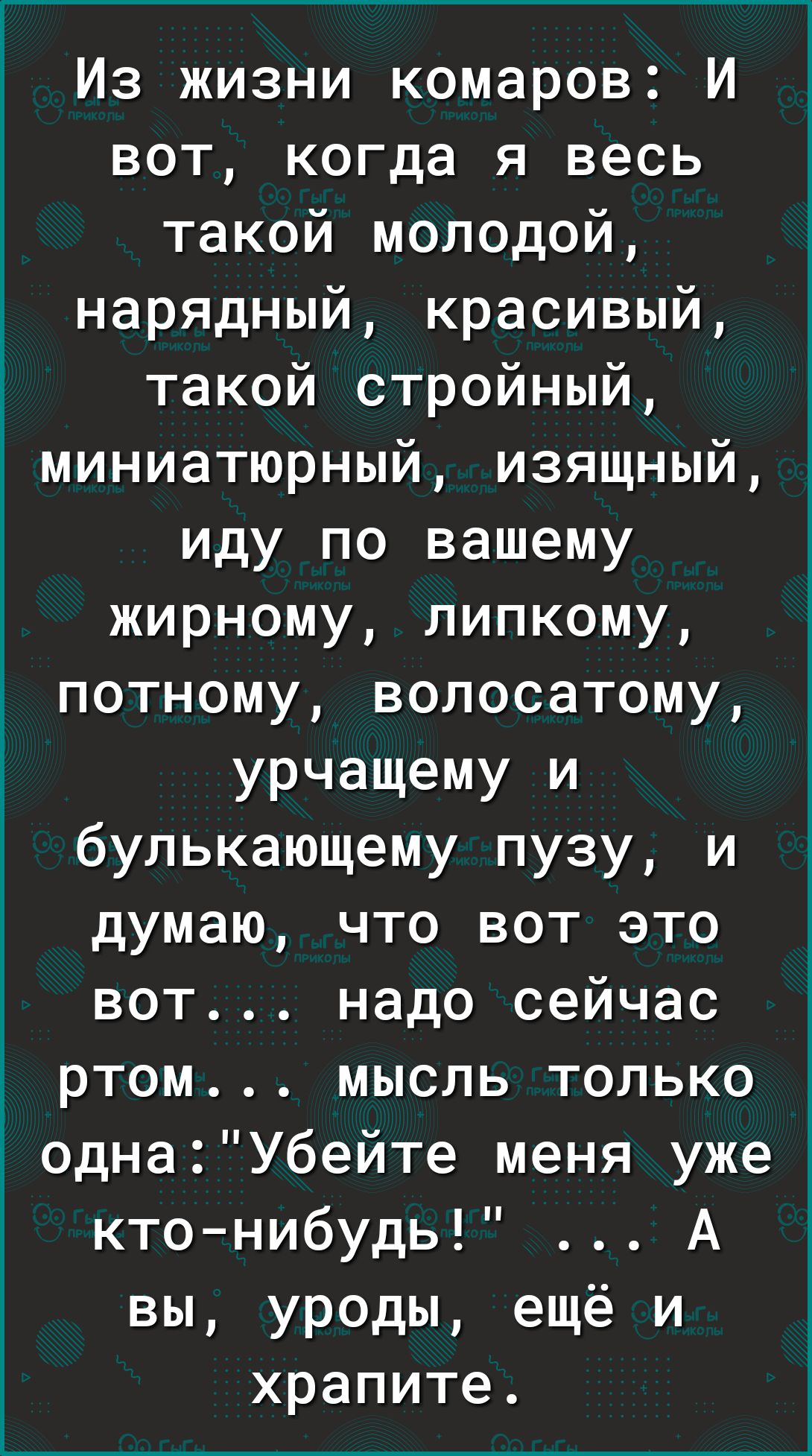 Из жизни комаров И вот когда я весь такой молодой нарядный красивый такой стройный миниатюрный изящный иду по вашему жирному липкому потному вопосатому урчащему и булькающему пузу и думаю что вот это вот надо сейчас ртом мысль только однаУбейте меня уже ктонибудь А вы уроды ещё и храпите