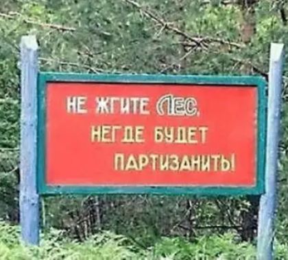 НЕГЛЕ ВЗЛЕТ ПАРТИЗАНИТЫ