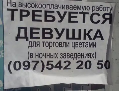 На высокооппачиваемуюработу ТС ДЕВУШКА для торговли цветами в ночных заведениях 097542 20 5 _