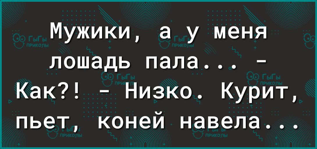 Мужики а у меня лошадь папа Как Низко Курит пьет коней навела