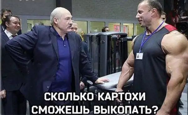 СКОЛЬКО КАРТОХИ СМОЖЕШЬ ВЫКОПАТЬ