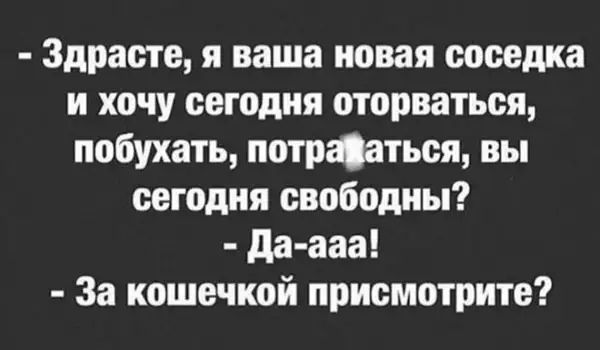 Здрасте я ваша новая соседка и хочу сегодня оторваться побухать попадаться вы сегодня свободны да ааа За кошечкой присмотрите