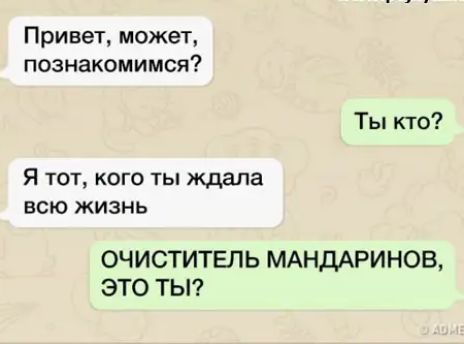 Привет может познакомимся Ты кто Я тот кого ты ждала всю жизнь ОЧИСТИТЕЛЬ МАНДАРИНОВ ЭТО ТЫ