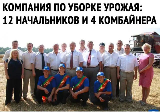 компдния по УБОРКЕ УРОЖАЯ 12 НАЧАЛЬНИКОВ и 4 КОМБАЙНЕРА