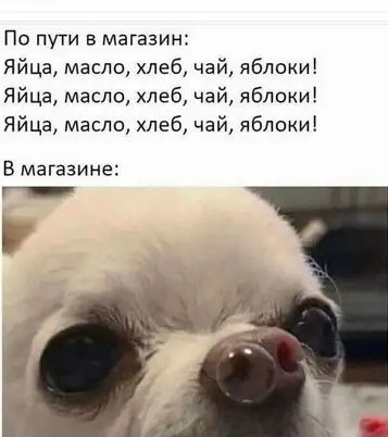 По пути в магазин Яйца масло хлеб чай яблоки Яйца масло хлеб чай яблоки Яйца масло хлеб чай яблоки В магазине