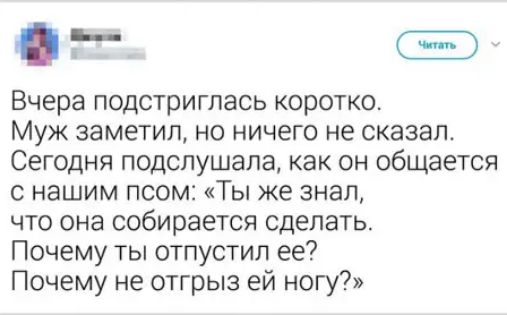 г Вчера подстриглась коротко Муж заметил но ничего не сказал Сегодня подслушапа как он общается с нашим псом Ты же знал что она собирается сделать Почему ты отпустил ее Почему не отгрыз ей ногу