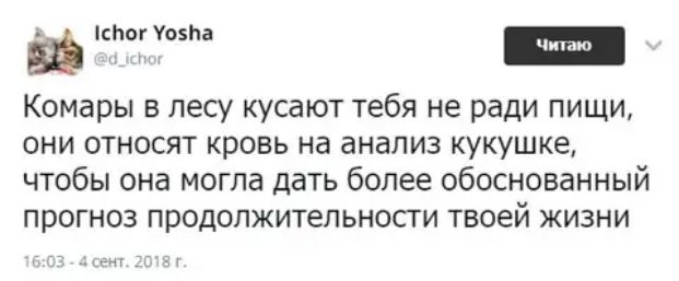 спог Уоэпа ш Комары в лесу кусают тебя не ради пищи они относят кровь на анализ кукушке чтобы она могла дать более обоснованный прогноз продолжительности твоей жизни _т