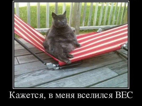 Кажется в меня вселился ВЕС