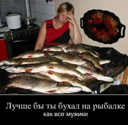 Лучше бы ты бухал на рыбалке Как все МУЖИКИ