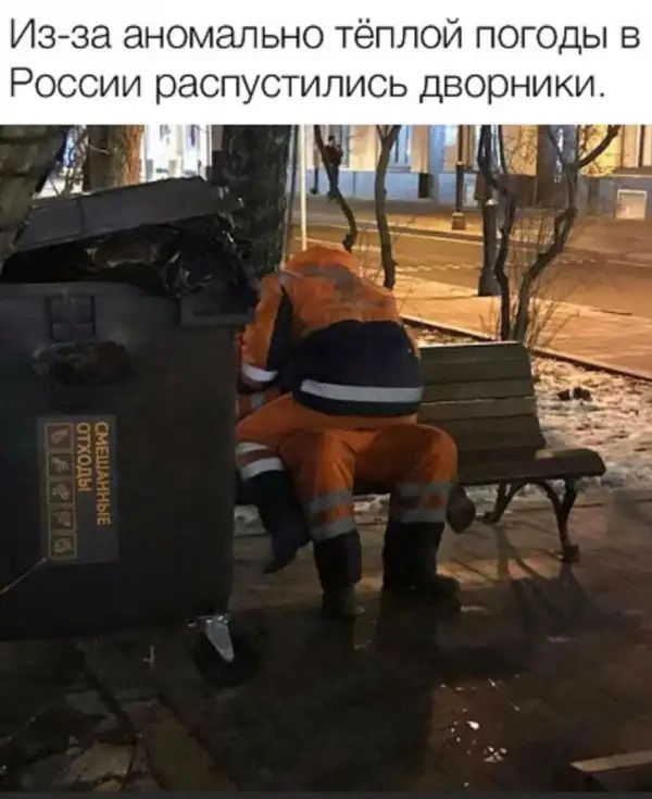 Изза аномально тёплой погоды в России распустились дворники Ё