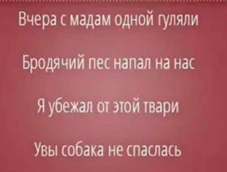 Вчера мадам одной гуляли Бродячий пес напал на нас Я убежал от этой твари УВЫ собака не СПЭСЛЗСЬ