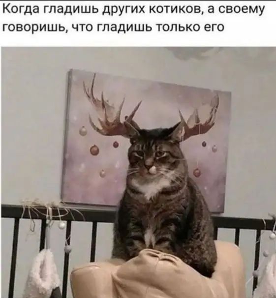 Когда ГПЗДИШЬ ДРУГИХ КОТИКОВ а СВОЕМУ ГОВОРИШЬ ЧТО гладишь ТОЛЬКО его