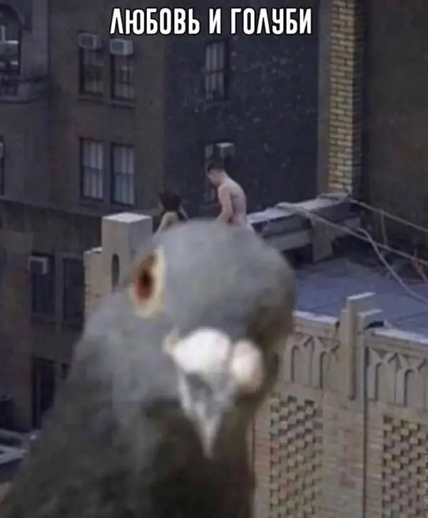 тім _4____________ _ АЮБПВЬ И ГШШБИ