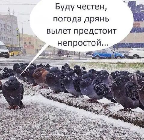 Буду честен погода дрянь вылет предстоит непростой