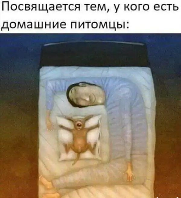 ПОСВЯЩЭЕТСЯ ТЕМ У КОГО ЕСТЬ ДОМЭШНИЕ ПИТОМЦЫ