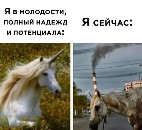 Я в молодости полный НАдЕЖд Я СЕЙЧАс и потенцимА іі