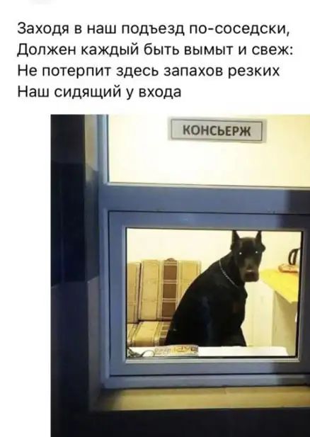 Заходя в наш подъезд по соседски Должен каждый быть вымыт и свеж Не потерпит здесь запахов резких Наш сидящий у входа