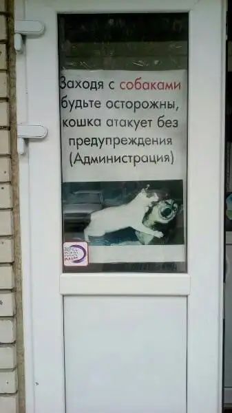 сходя с собаками удьте осторожны кошка пшкует без предупреждения Администрация