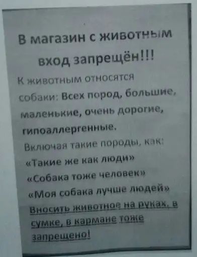 ___ В магазин с животным вход запрещён К жившным относятся собаки Всех перед большие мамаши очень дорогие миишипит такие породы как жи иви люции