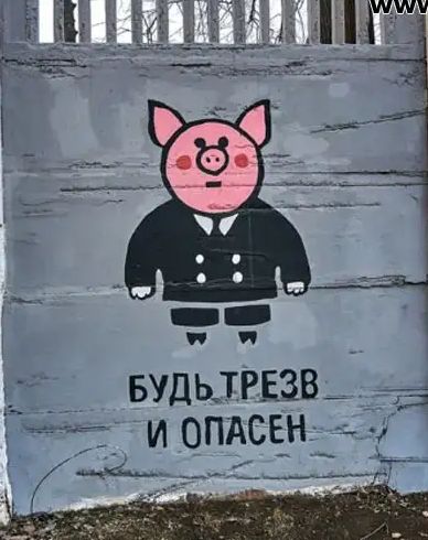 __ вшита и оплет