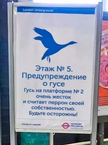 Этаж 5 Предупреждение О гусе Гусь на платформе 2 очень жесток и считает перрон своей собственностью Будьте осторожны