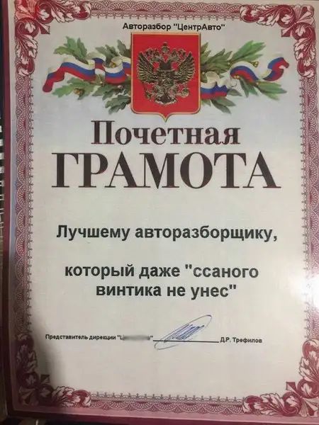 Почетная ГРАМОТА Пучшему авторазборщику который даже ссаного винтика не унес