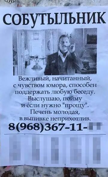01 совутыльник Вежпивый начитанный с чувством юмора способен поддержать любую беседу Быслушаю найму и ёгли нужно прощу Печень молодая в выпивке неприхотлив 8968367Р 11