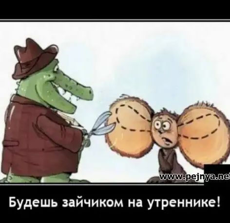 Будешь зайчиком на утреннике