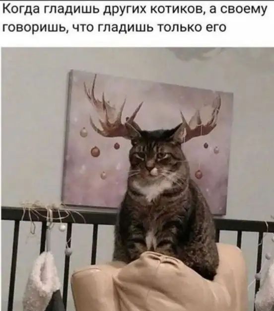 Когда ГПЗДИШЬ ДРУГИХ КОТИКОВ а СВОЕМУ ГОВОРИШЬ ЧТО гладишь ТОЛЬКО его